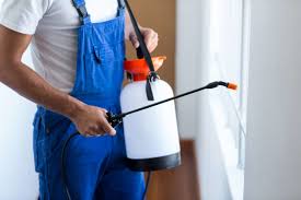 Best Pest Prevention Services  in Warren, OR